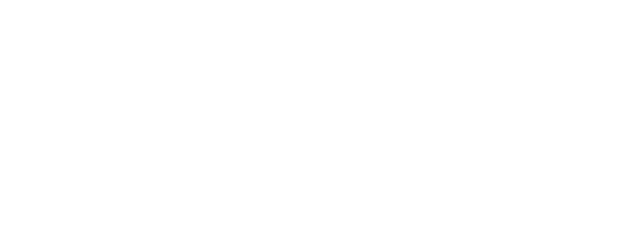 Visionari